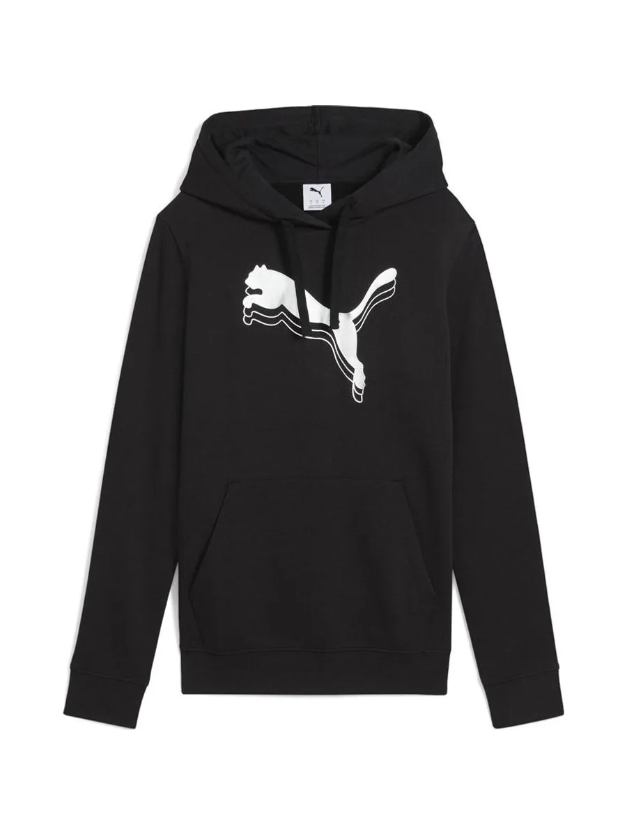 Sweat à Capuche Noir Homme Puma Metallic Hoodie 1