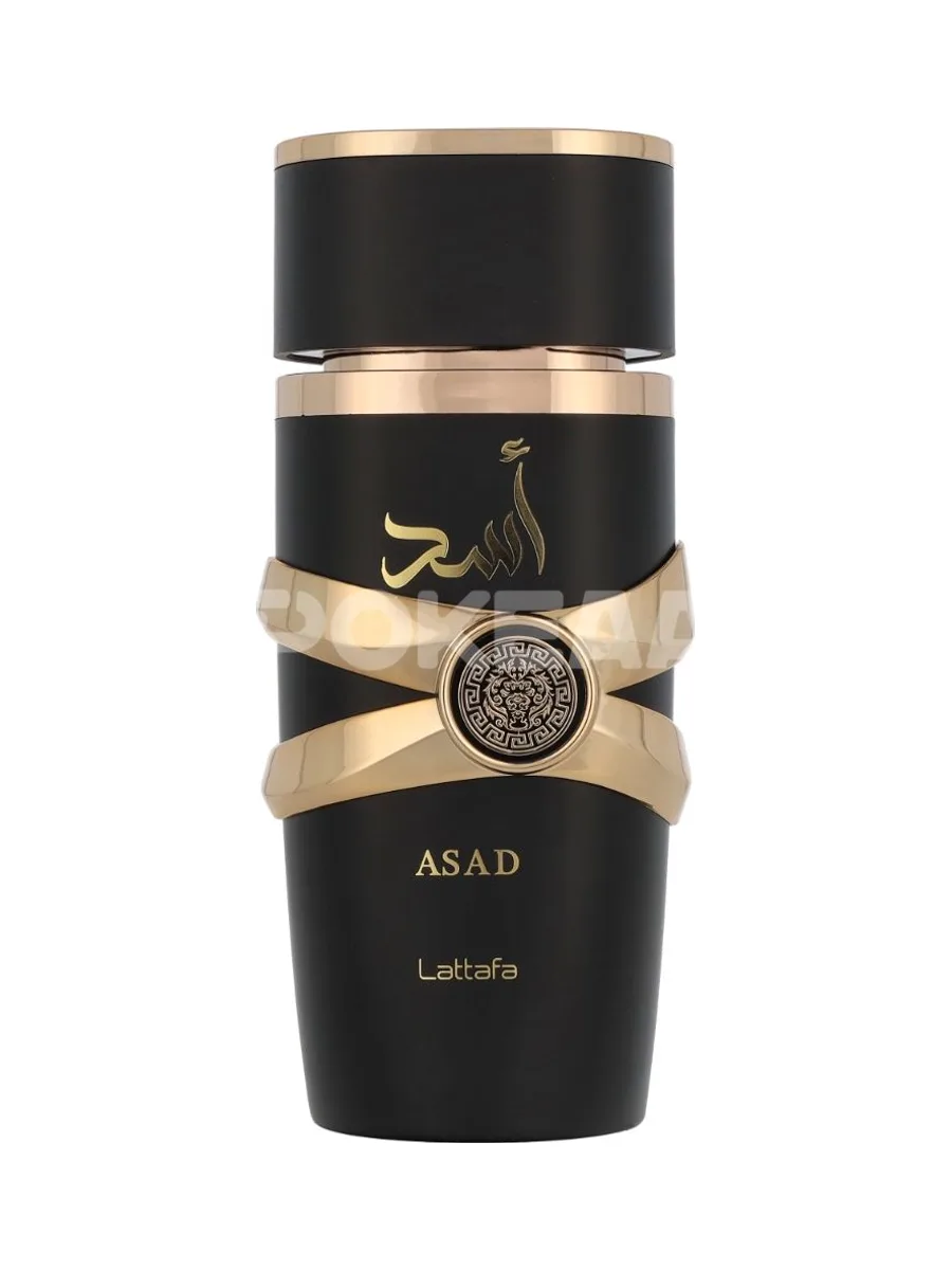 Lattafa Asad Edp Spray 100ml 2