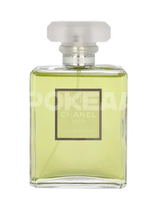 Chanel No 19 Poudre Edp Spray 100ml 2