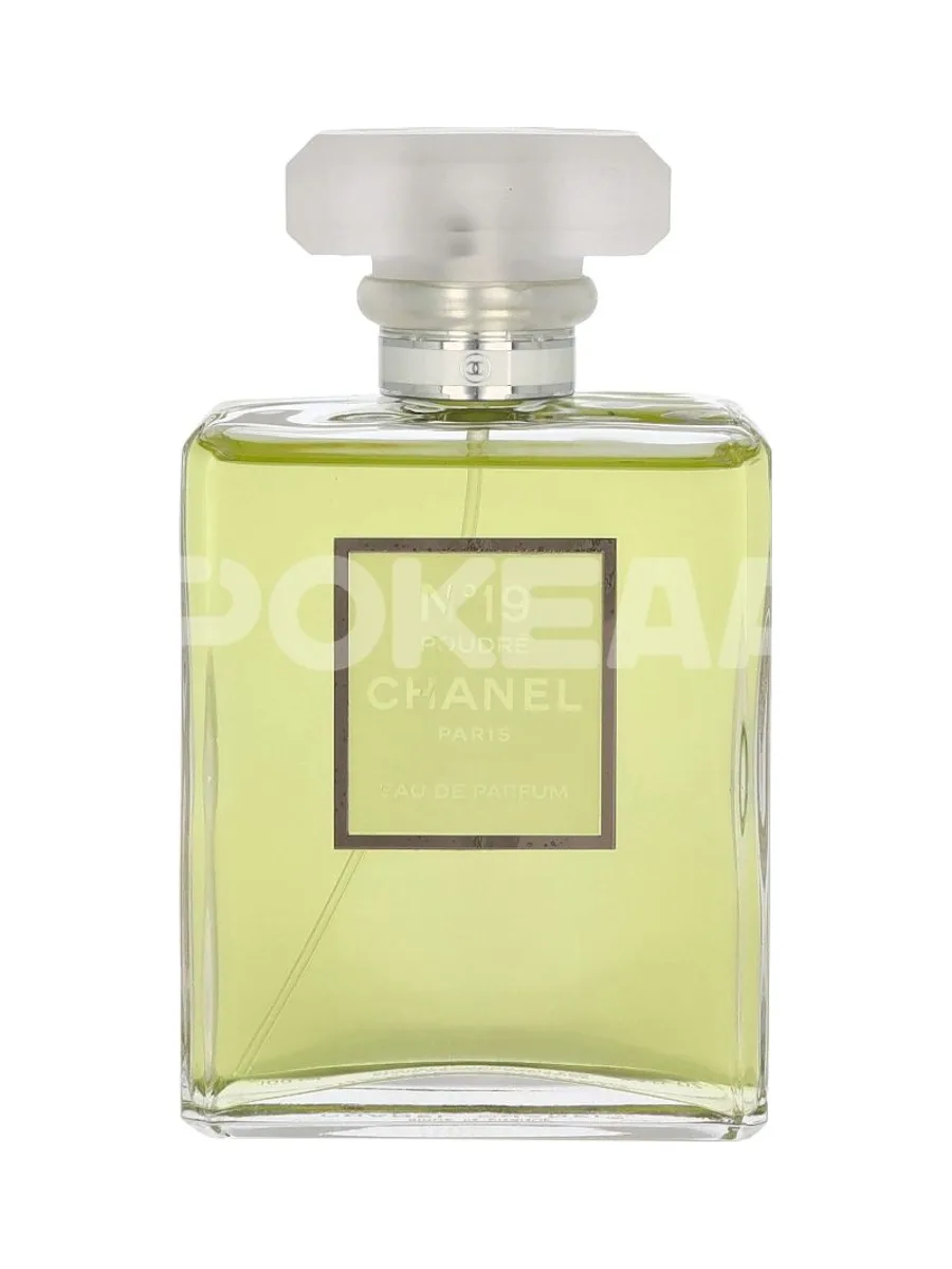 Chanel No 19 Poudre Edp Spray 100ml 2