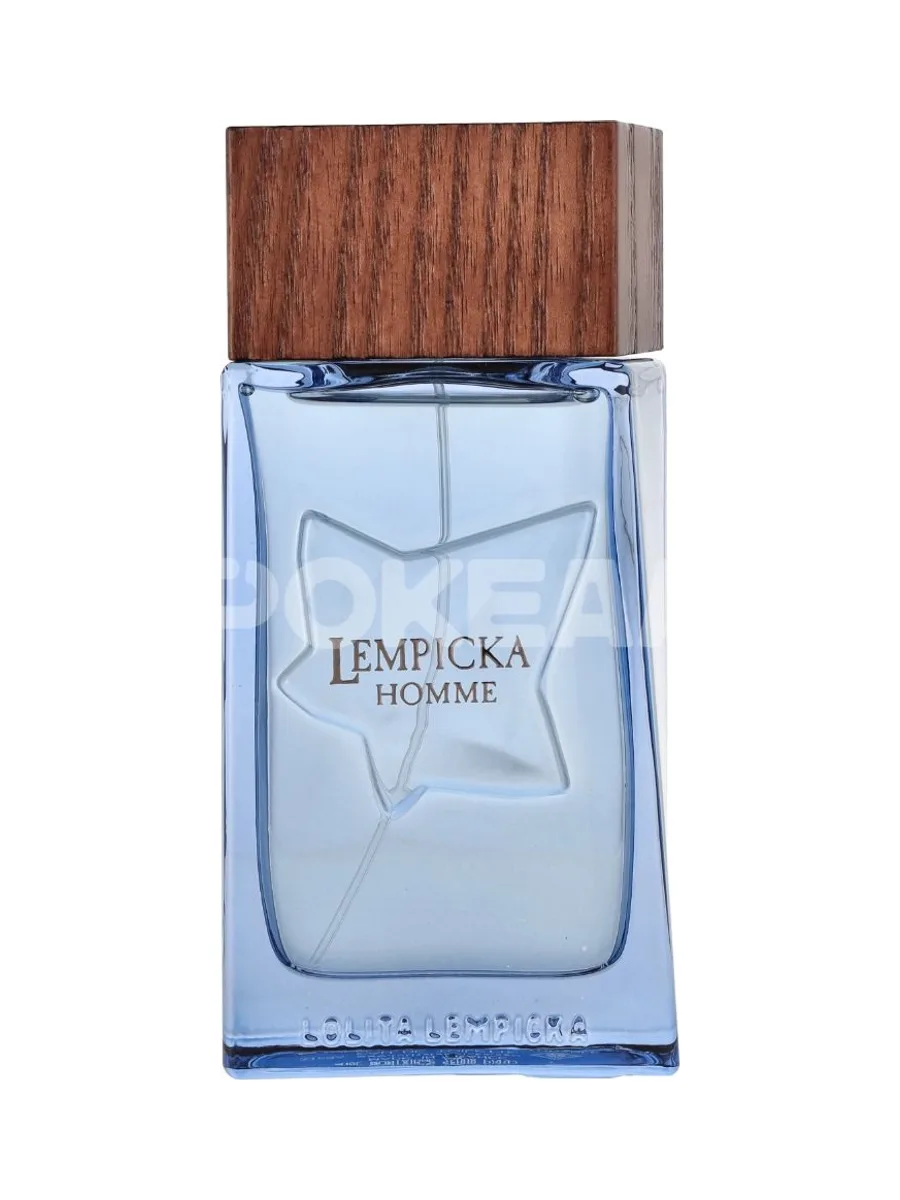 Lolita Lempicka Homme Edt Spray 100ml 2