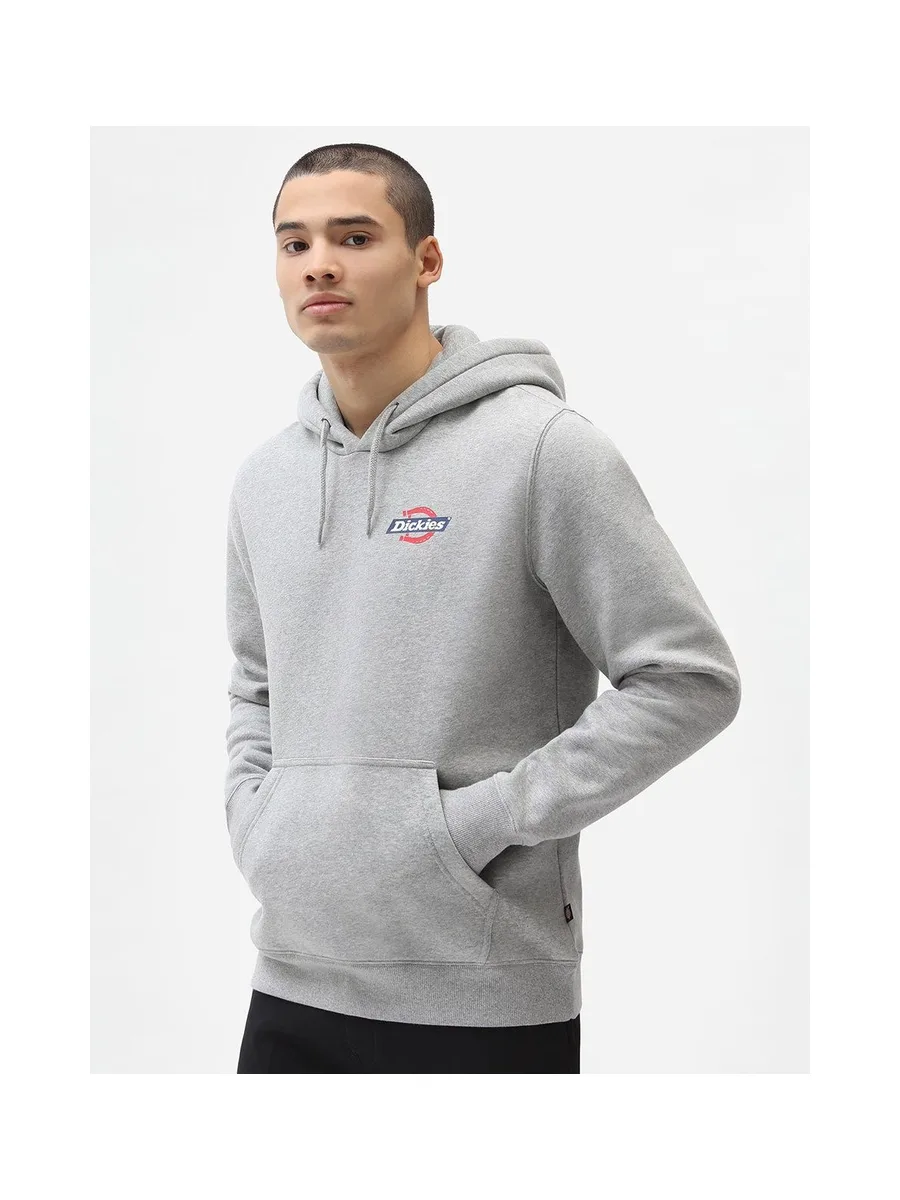 Sweat-shirt DICKIES DK0A4XAH 11