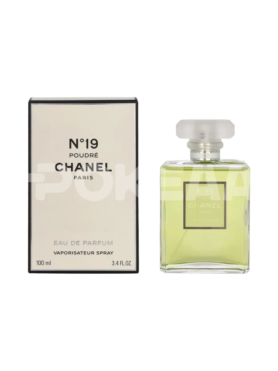 Chanel No 19 Poudre Edp Spray 100ml 1