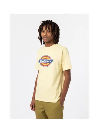 T-shirt DICKIES DK0A4XC9 10
