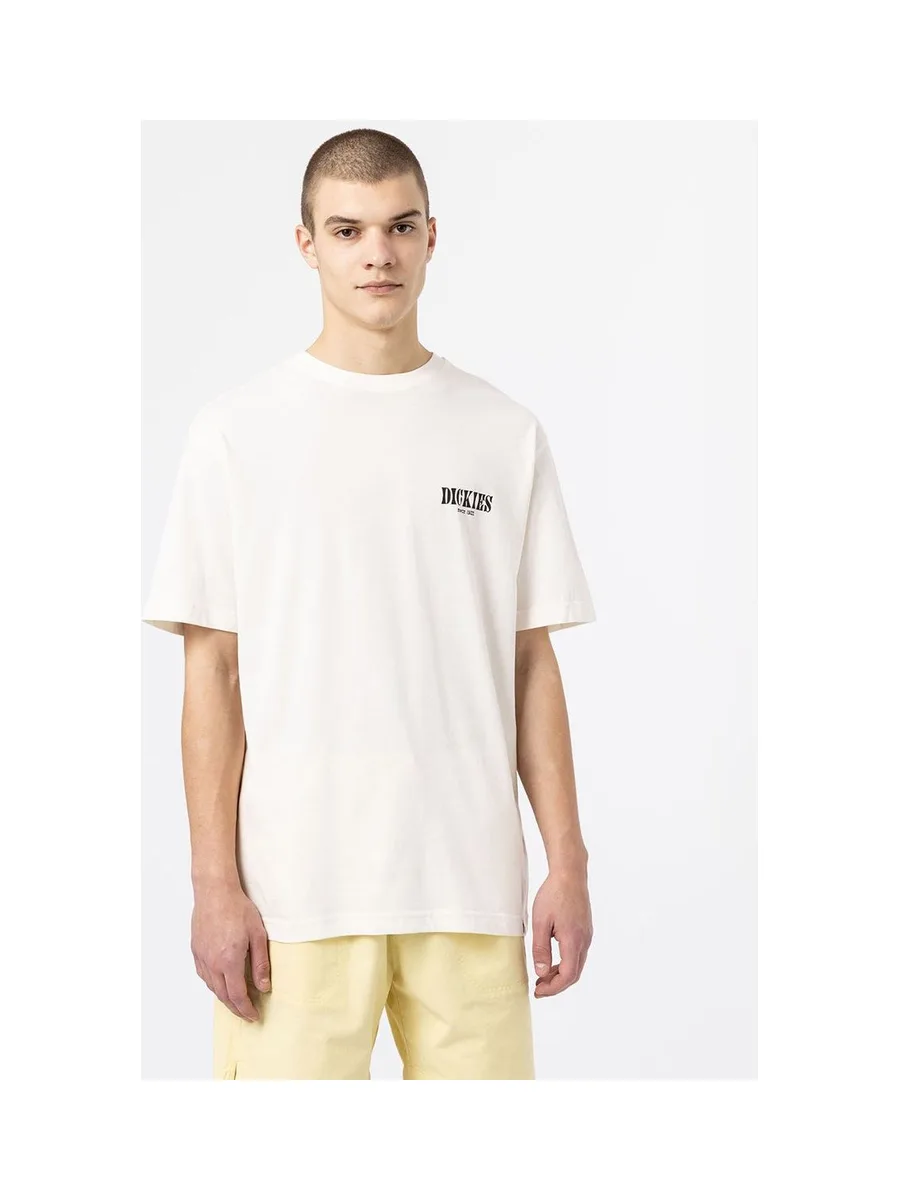 T-shirt DICKIES DK0A4XO4 12