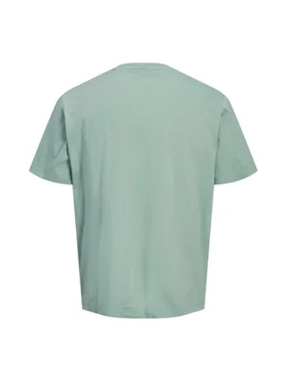 T-Shirt Vert Homme Jack & Jones Jordean 2