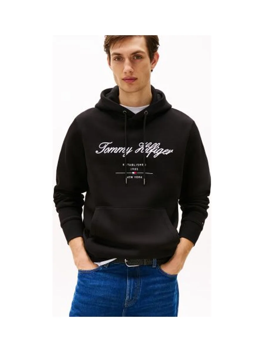 Sweat-shirt TOMMY HILFIGER MW0MW33631 2