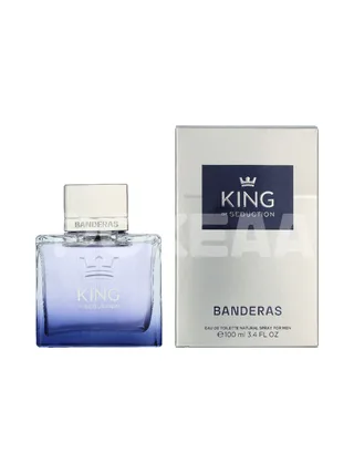 A. Banderas King Of Seduction Edt Spray 100ml 1