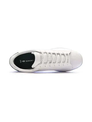 Baskets Blanches/Verte Homme Lacoste Carnaby Set 224 1 Sma 4