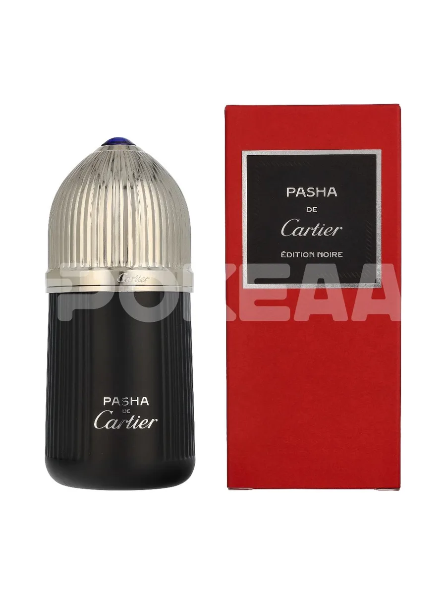Cartier Pasha Edition Noire Edt Spray 100ml 1