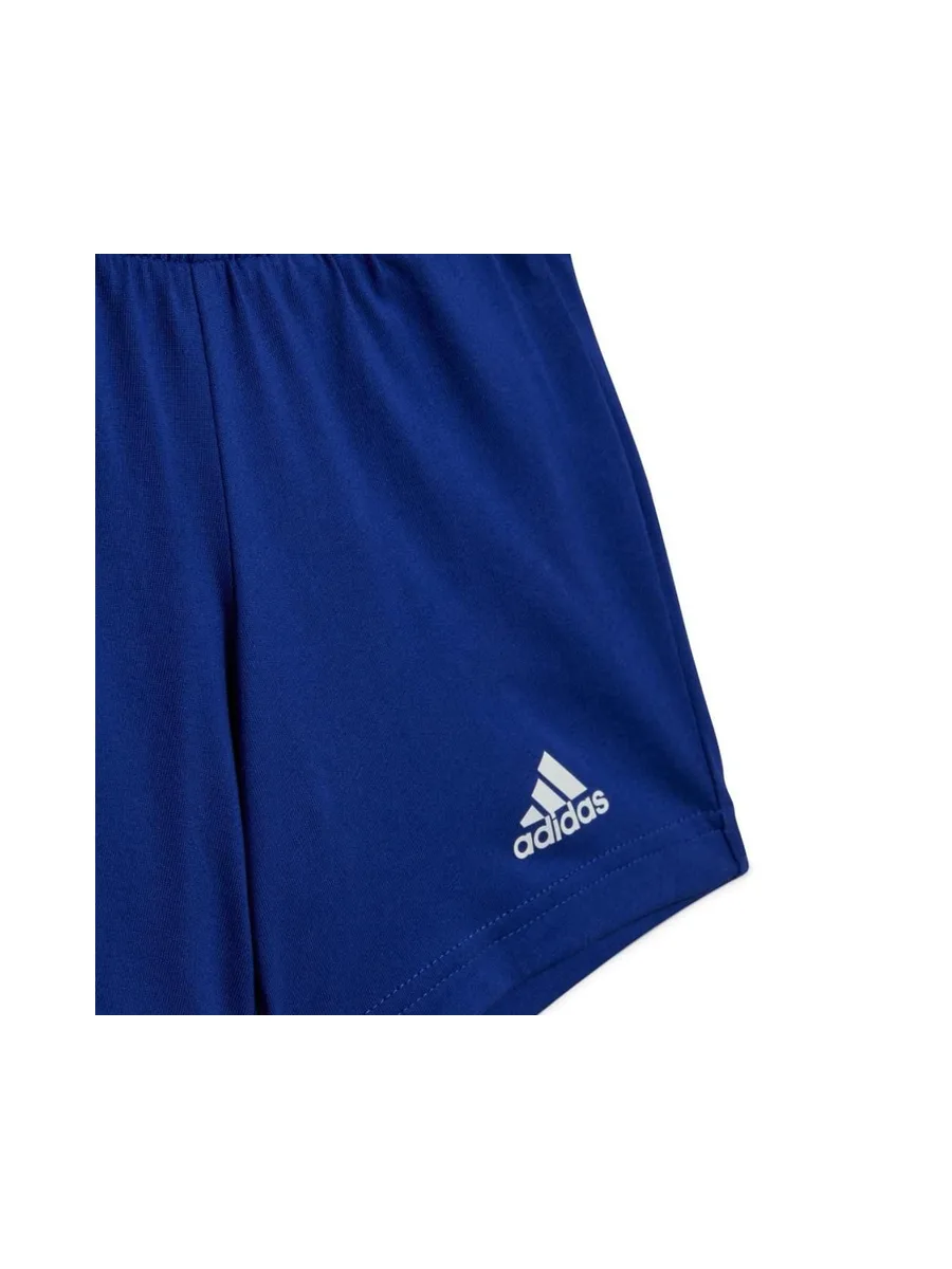 Ensemble Bleu/Gris Garçon Adidas HR5887 4