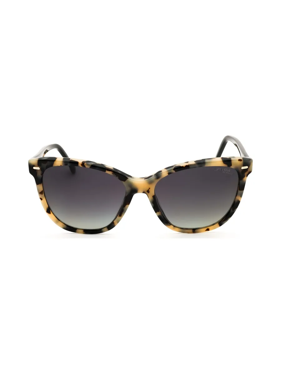 Carrera 3043/S — Lunettes de soleil 2