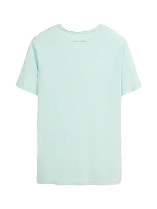 T-shirt Vert Menthe Homme Teddy Smith T-geo 2