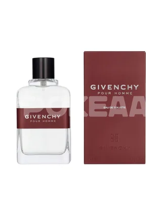 Givenchy Pour Homme Edt Spray 100ml 1