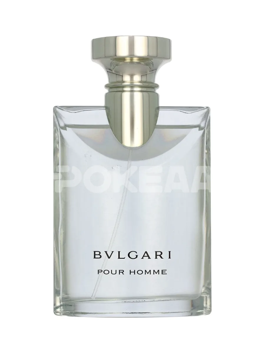 Bvlgari Pour Homme Edt Spray 100ml 2