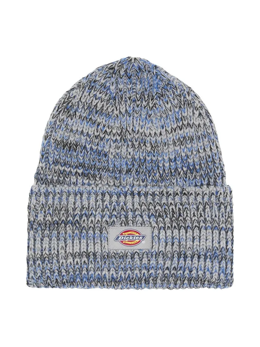 Bonnet Bleu Homme Dickies Ultimate 1