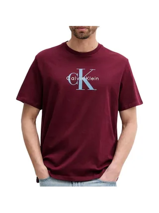 T-Shirt Bordeaux Homme Calvin Klein Jeans Hero 1