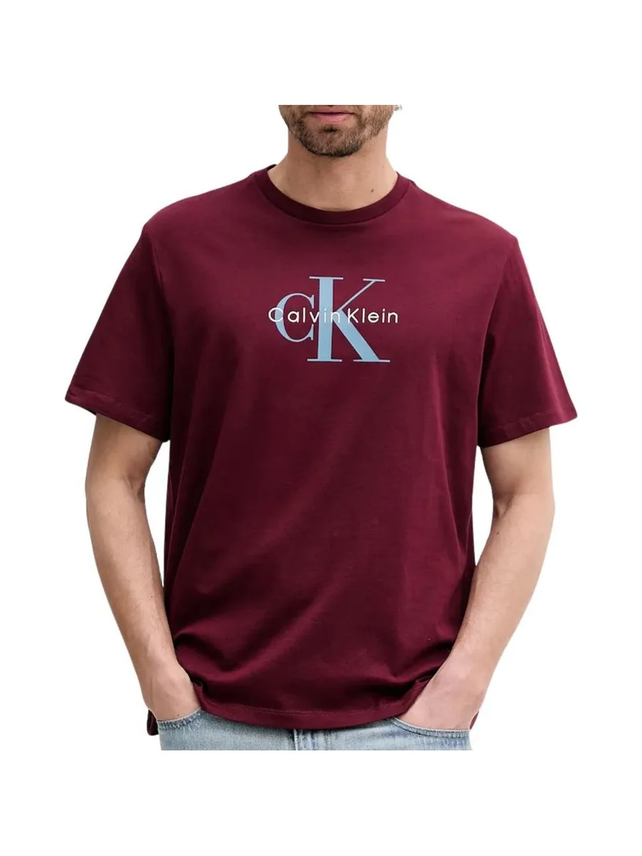 T-Shirt Bordeaux Homme Calvin Klein Jeans Hero 2