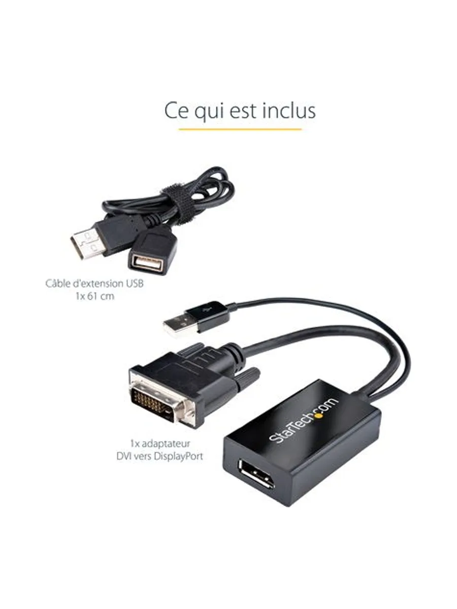 DVI to DisplayPort Adapter - USB Power 15