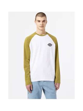T-shirt DICKIES DK0A4XDF 3
