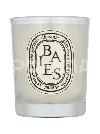 Diptyque Baies Scented Candle 2