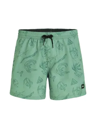 Maillot de bain Vert Homme O'Neill Cali 1