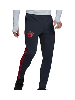 Bayern de MunichJogging Gris Homme Adidas HG1352 1