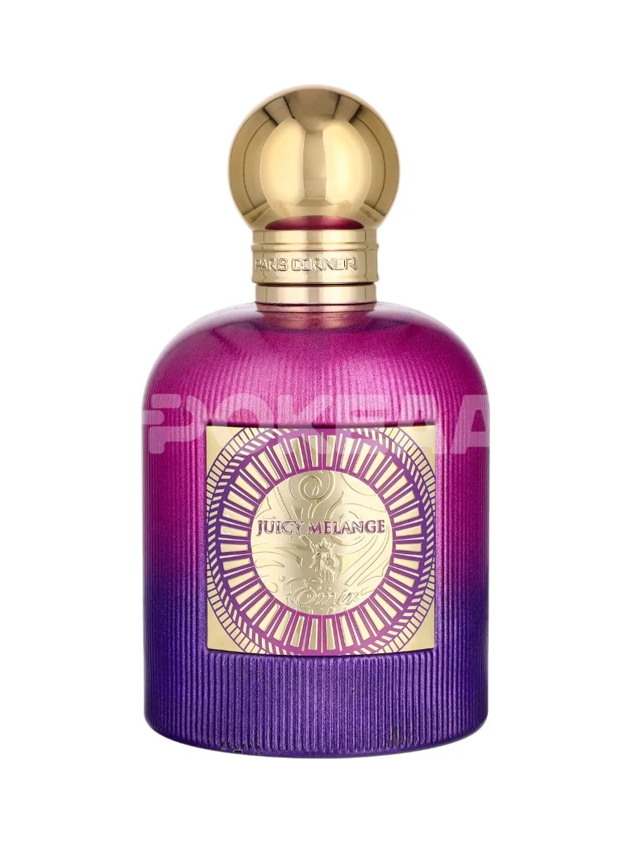 Paris Corner Emir Juicy Melange Edp Spray 100ml 2