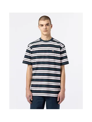 T-shirt DICKIES DK0A4XPC 2