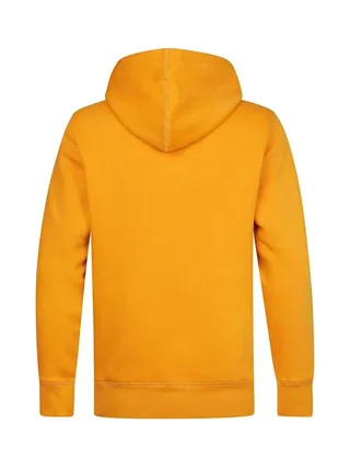 Sweat à Capuche Jaune Homme Petrol Industries Hoode 2
