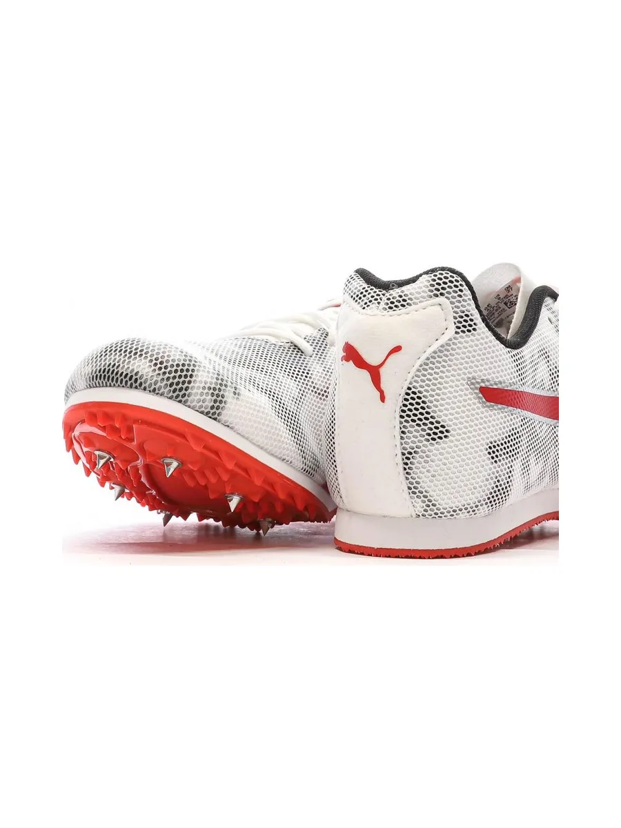 Chaussures d'athletismes Blanc/Gris/Rouge Homme Puma Evospeed 8 7