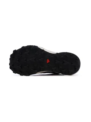 Chaussures de randonnées Noires Femme Salomon Thundercross 5