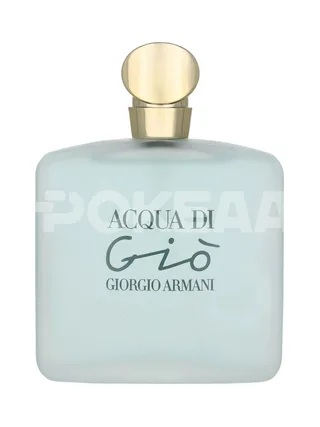 Armani Acqua Di Gio Pour Femme Edt Spray 100ml 2