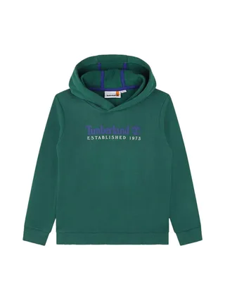 Sweat Vert/Bleu Garçon Timberland T25U56 1