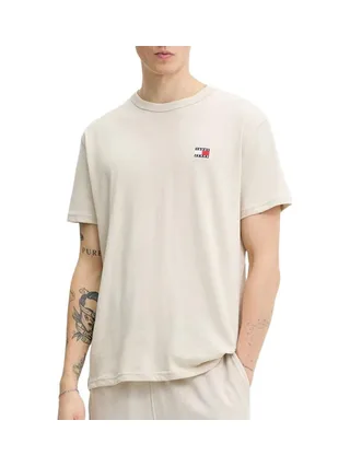 T-shirt Beige Homme Tommy Jeans Reg Badge DM0DM20322 1