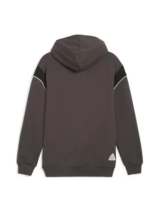 Dortmund Sweat Gris Homme Puma 2024 2