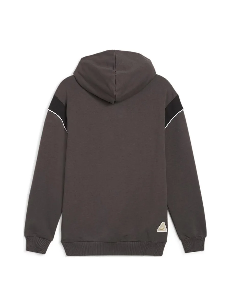 Dortmund Sweat Gris Homme Puma 2024 3