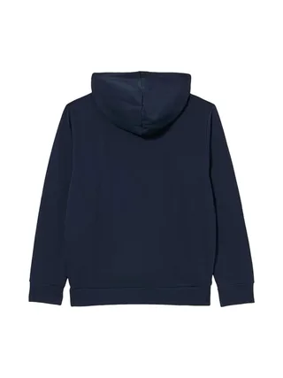 Sweat Bleu Homme Timberland Hoodie 2