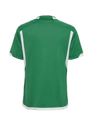 Algérie Maillot de foot Extérieur Vert Garçon Adidas 2022 2