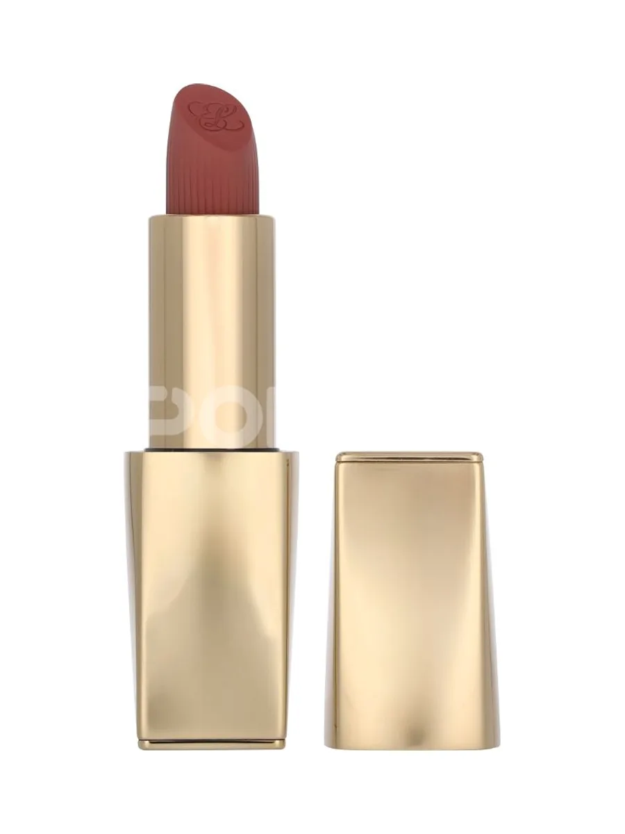 E.Lauder Pure Color Matte Refillable Lipstick 3.5g - #816 Suit Up 2