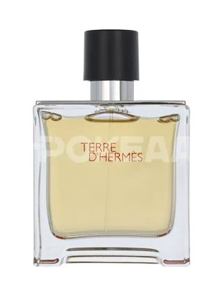 Hermes Terre D'Hermes Parfum Spray 75ml 2
