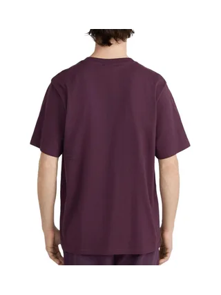 T-Shirt Bordeaux Homme O'Neill The Future Surf Society 2