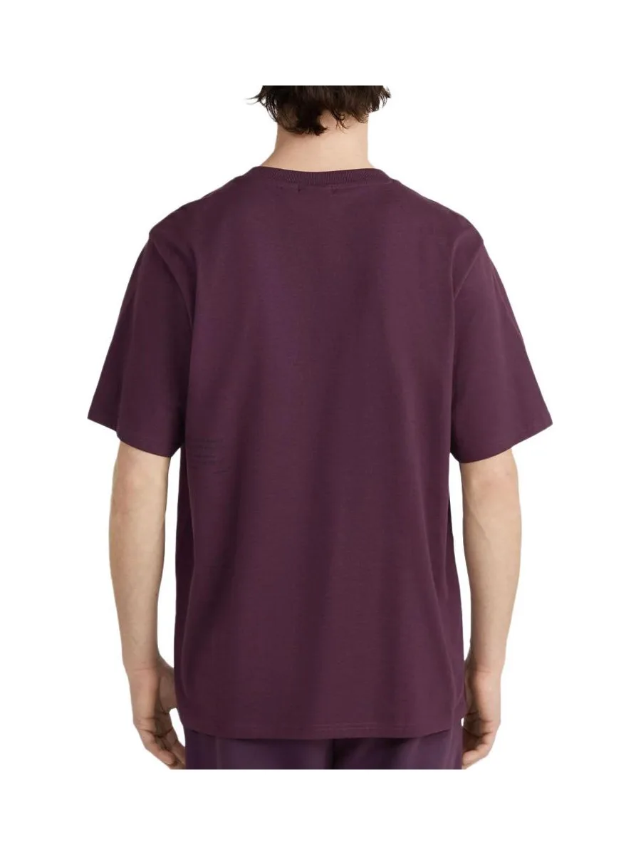 T-Shirt Bordeaux Homme O'Neill The Future Surf Society 3