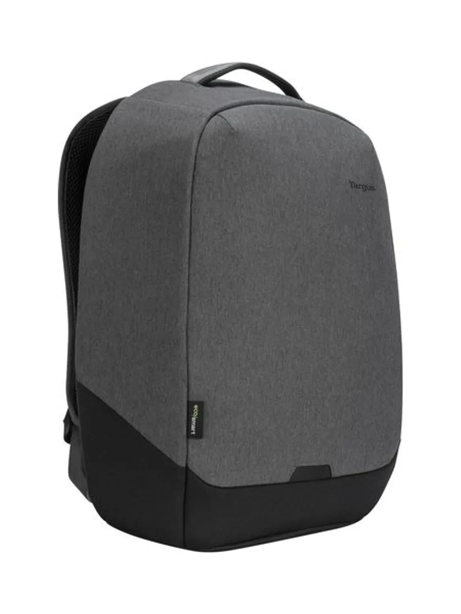 EcoSmart Cypress Security BP 1