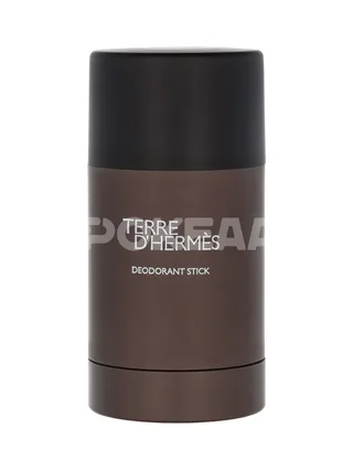 Hermes Terre D'Hermes Deo Stick 75ml - Alcohol Free 2