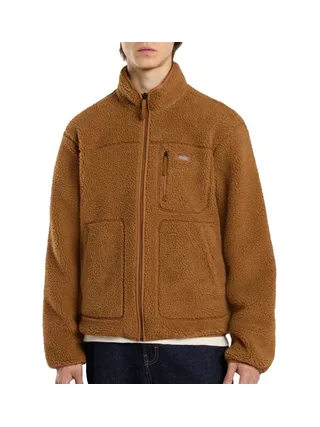 Veste Camel Homme Dickies Mount Hope 1
