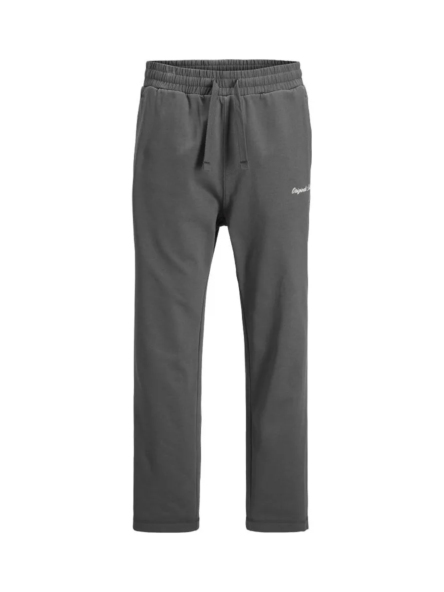 Pantalon fluide Gris Homme Jack & Jones Kaness 2
