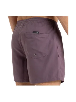 Short de Bain Prune Homme Quiksilver Solid 15 2
