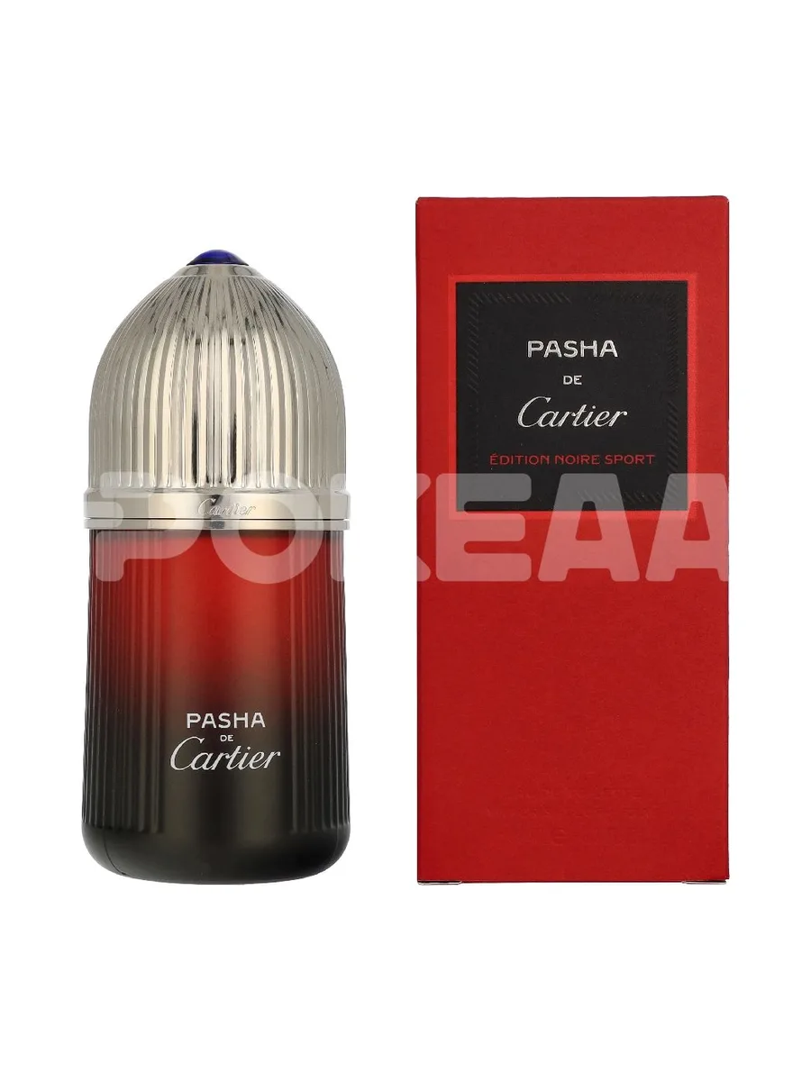 Cartier Pasha Edition Noire Sport Edt Spray 100ml 1