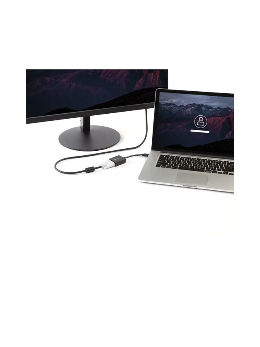 Mini DisplayPort to DVI Video Adapter 2